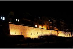 DSC00150-sh-cnt-sh-cnt-fr-log