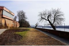 DSC00418-sh-cnt-sh-cnt-fr-log-1
