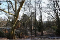 DSC00338-sh-cnt-sh-cnt-fr-log