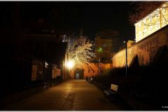 DSC00149-sh-cnt-sh-cnt-fr-log