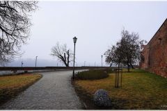 DSC00293-sh-cnt-sh-cnt-fr-log