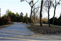 DSC00369-sh-cnt-sh-cnt-fr-log